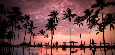 Visa requirements for United Arab Emirates passport holders traveling to Sri Lankan