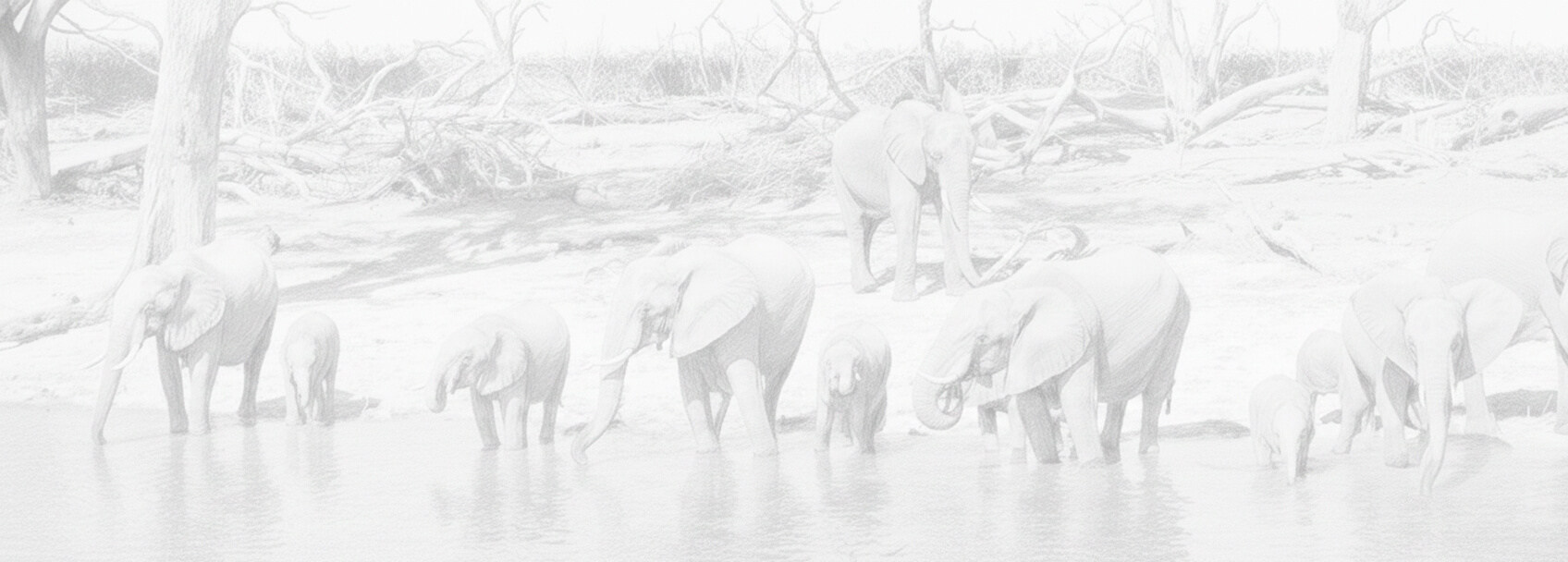 Botswana visa application and requirements